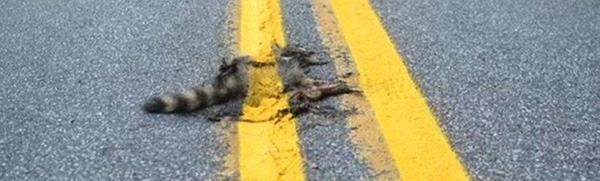 Watch out where you paint those double yellow lines!