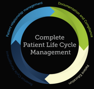 life cycle